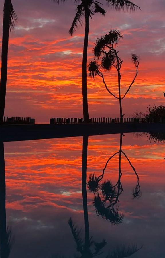 The Tree House Sumbawa Hotel Huu ภายนอก รูปภาพ